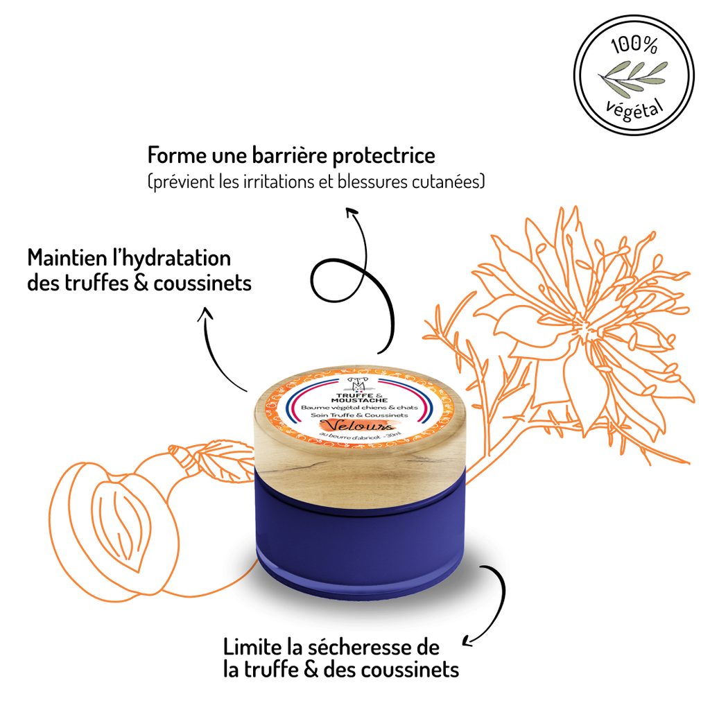 Baume Truffe & Coussinets pour chien & chat, "Velours"