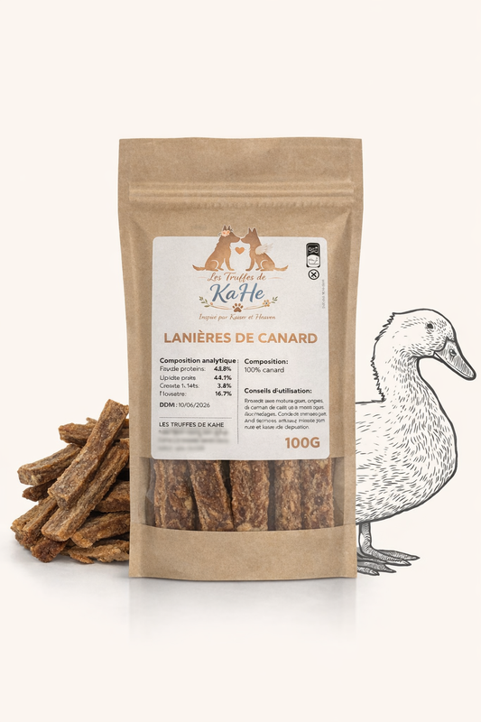 Lanières de Canard