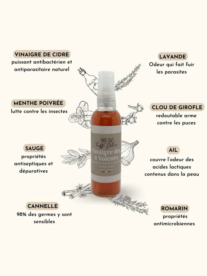 Vinaigre des 4 voleurs - Antiparasitaire