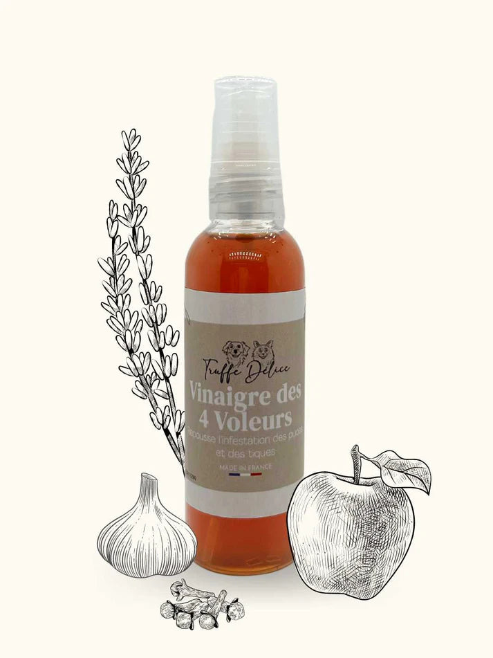 Vinaigre des 4 voleurs - Antiparasitaire