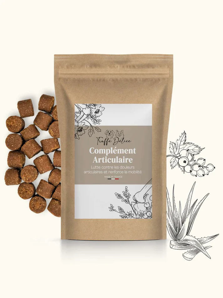 Complément alimentaire chien articulation