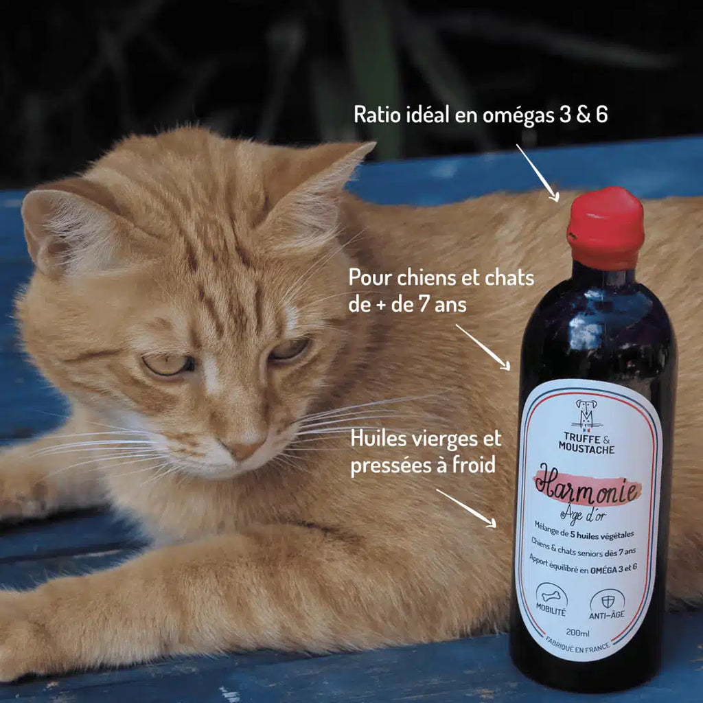 Huile Végétale pour Senior, "Harmonie Âge d'Or"