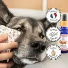 Soin Nettoyant yeux pour chien & chat, "Regard"