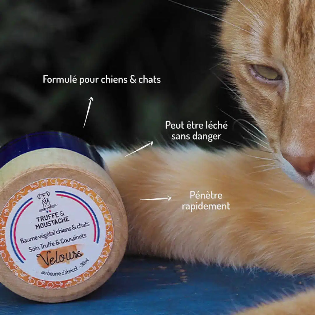 Baume Truffe & Coussinets pour chien & chat, "Velours"