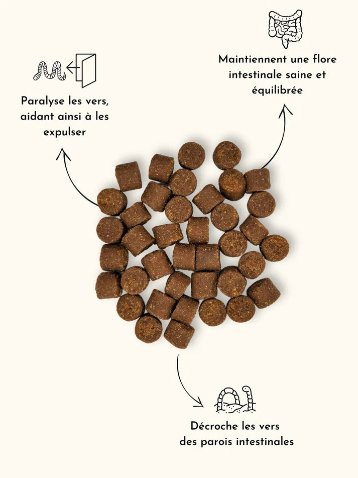 Vermifuge pour chien